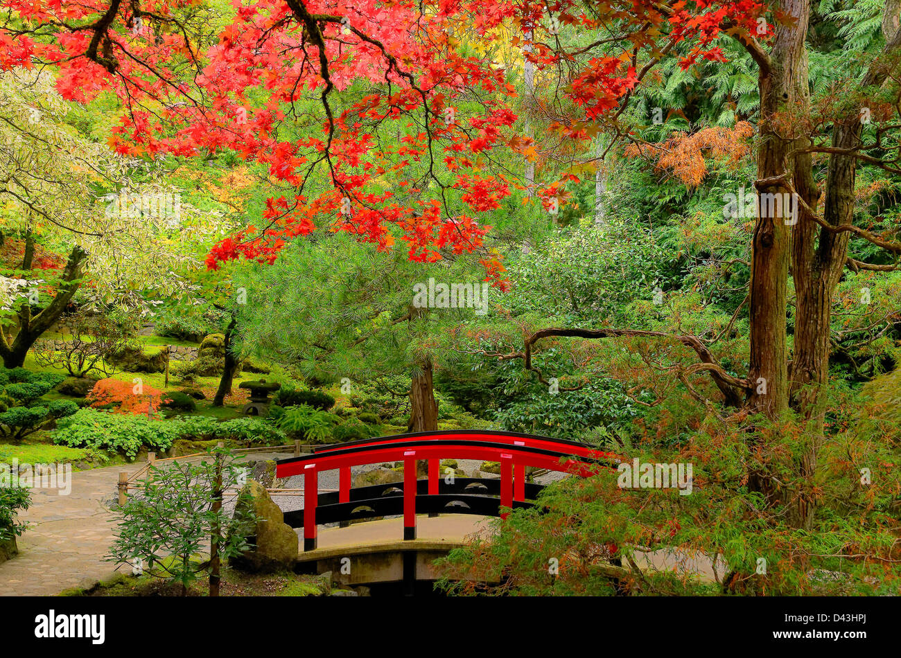 Butchart Gardens Fall colour Japanese Garden Japanese bridge Maple