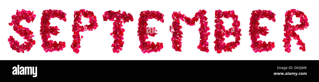 Pink rose petals forming word September on white Stock Photo
