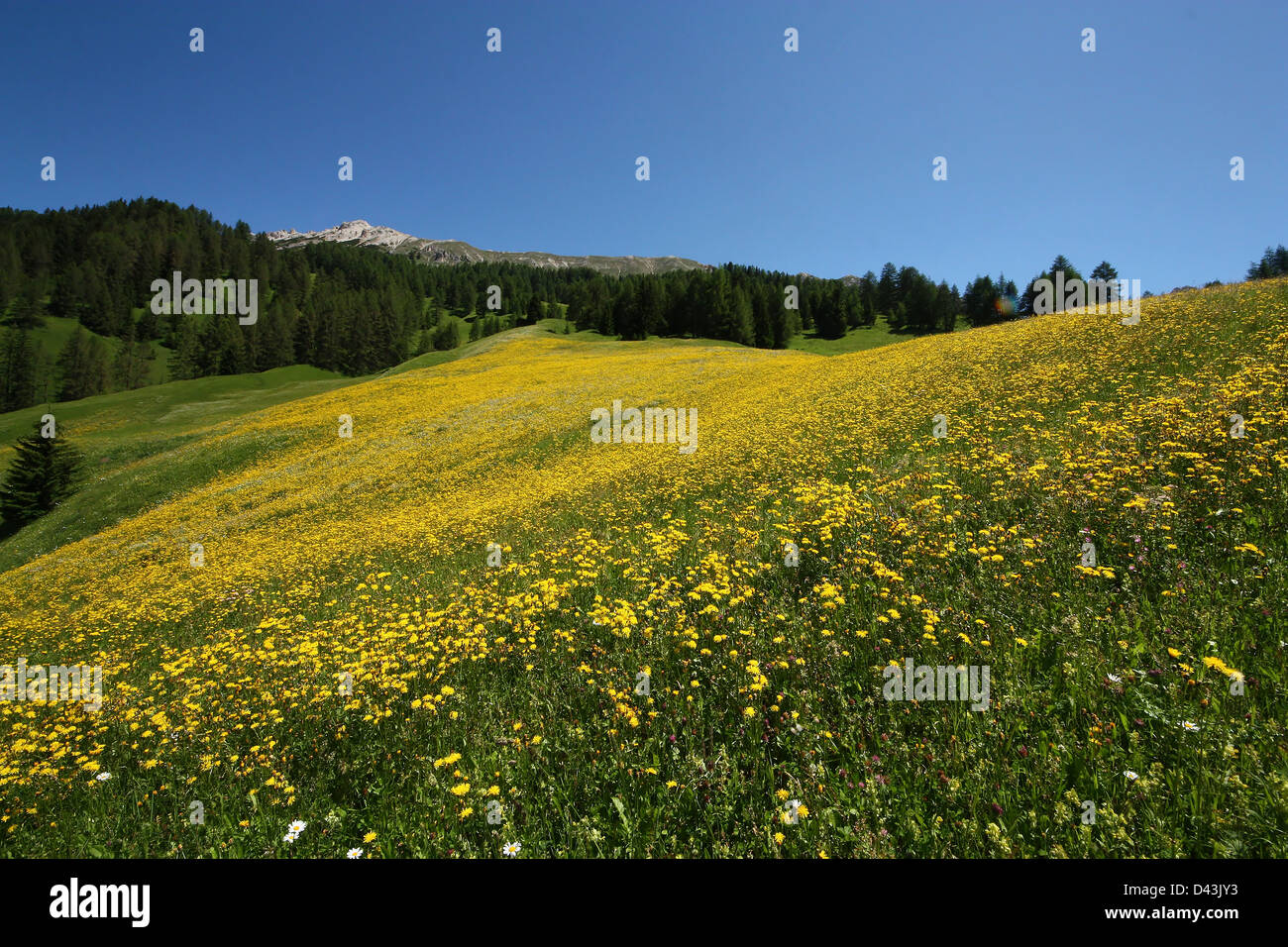 Val Badia Mountain, Gadertal, Alto Adige, Stock Photo