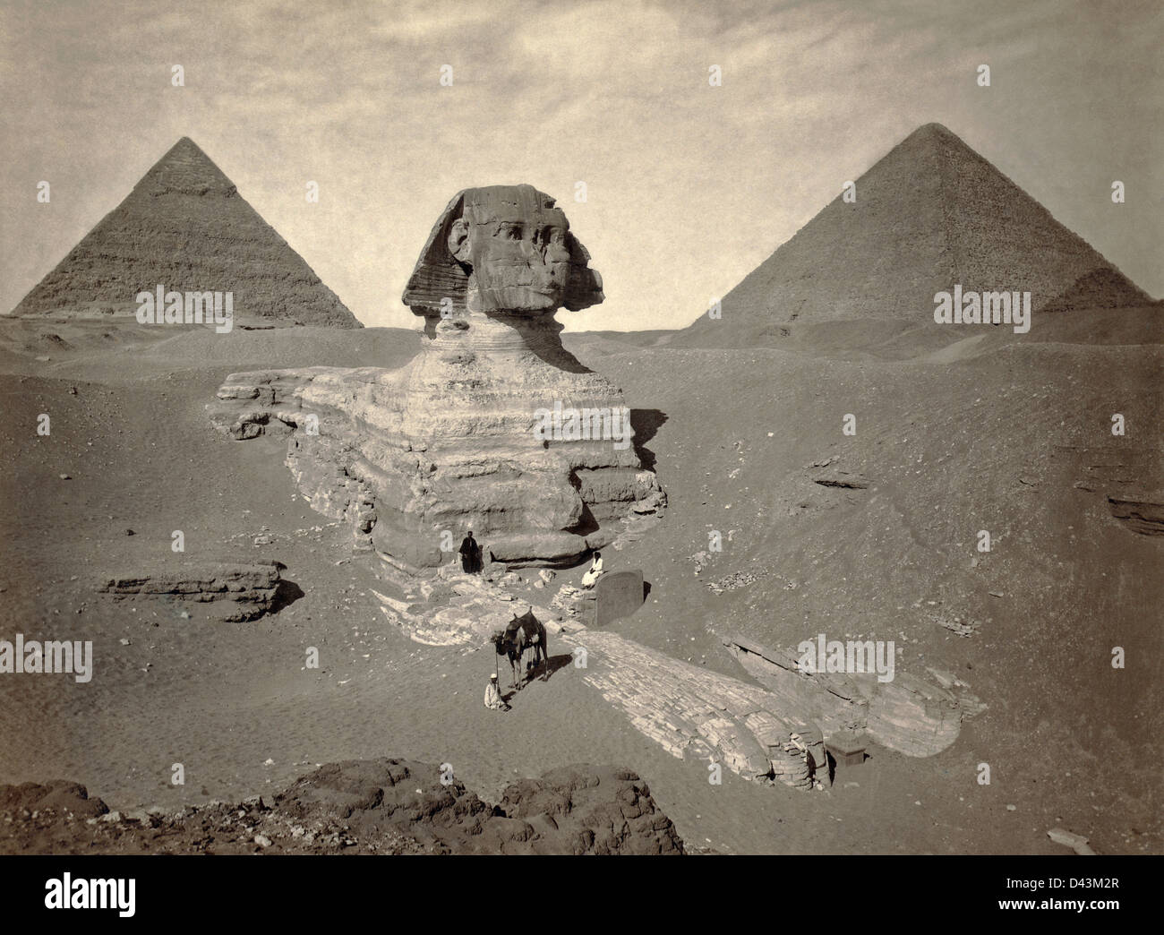 The Sphinx of Giza partially excavated with two pyramids in background in Egypt. Albumen print. Stock Photo