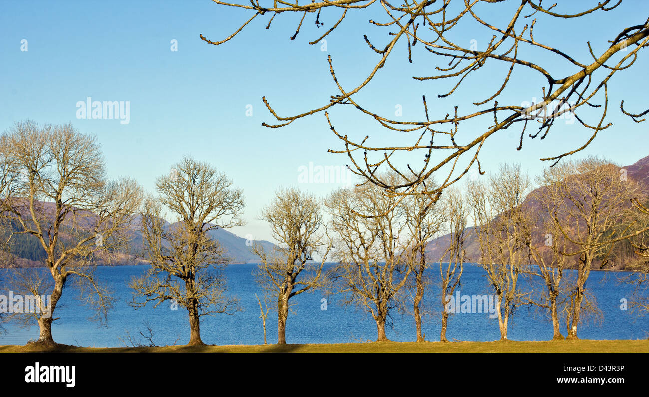 LOCH NESS AND TREES AT THE SOUTHERN END NEAR FORT AUGUSTUS ON AN EARLY SPRING DAY IN THE HIGHLANDS OF SCOTLAND Stock Photo