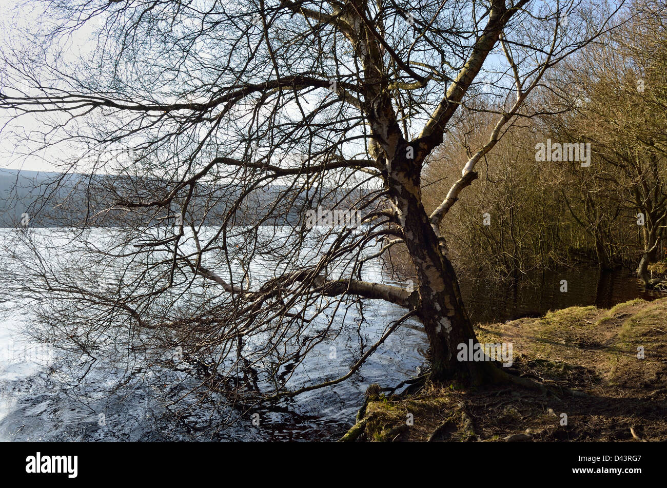 Broomhead Reservoir Yorkshire, England Stock Photo Alamy