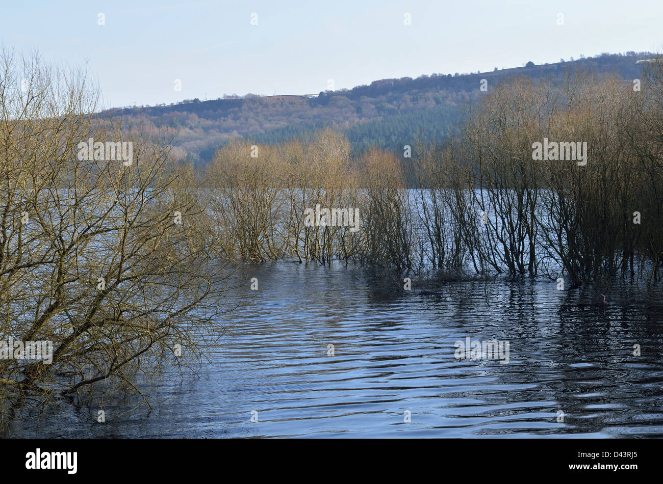 Broomhead Reservoir Yorkshire, England Stock Photo Alamy