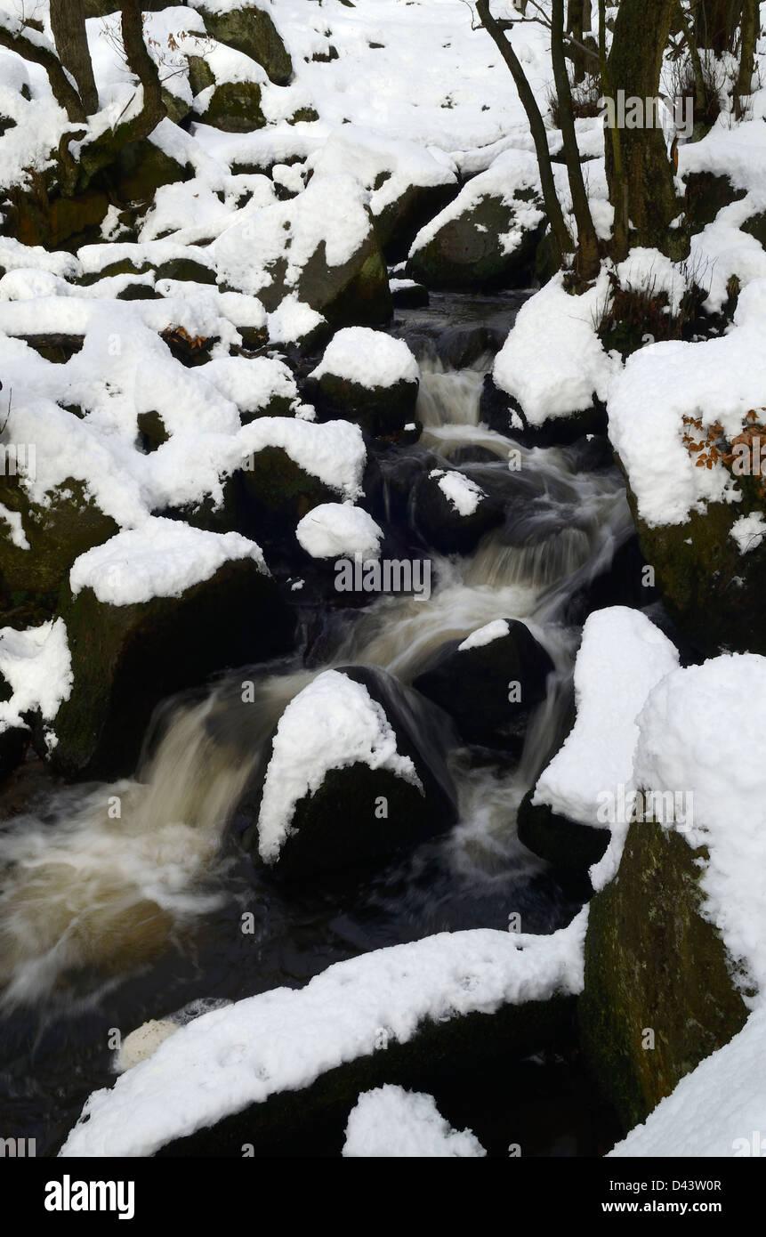 Snow at Padley Gorge - Longshaw Estate - Peak District, Derbyshire, England, UK Stock Photo