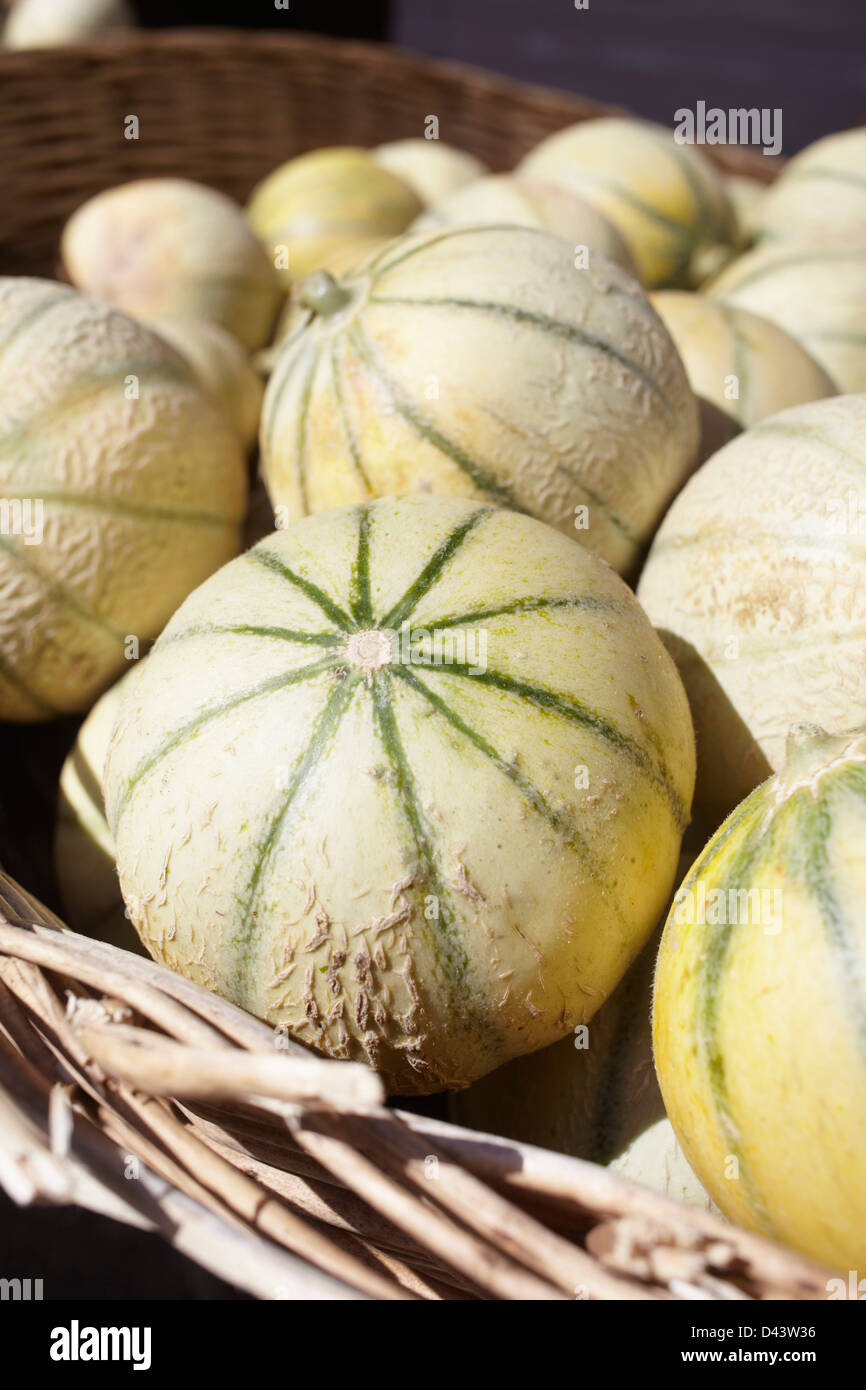 Melons For Sale at Market, Montalivet, VendaysMontalivet, Gironde