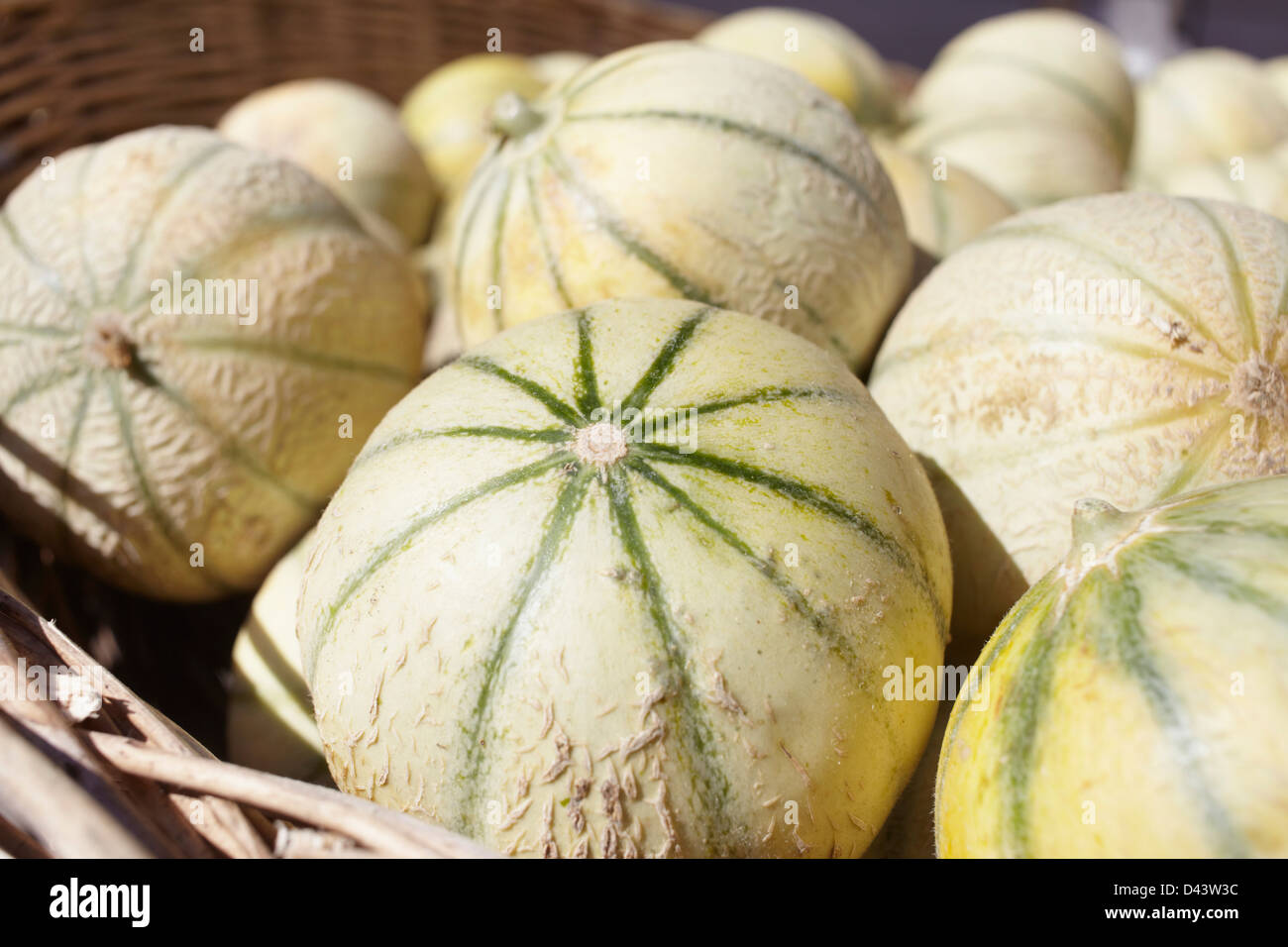 Montalivet High Resolution Stock Photography And Images Alamy