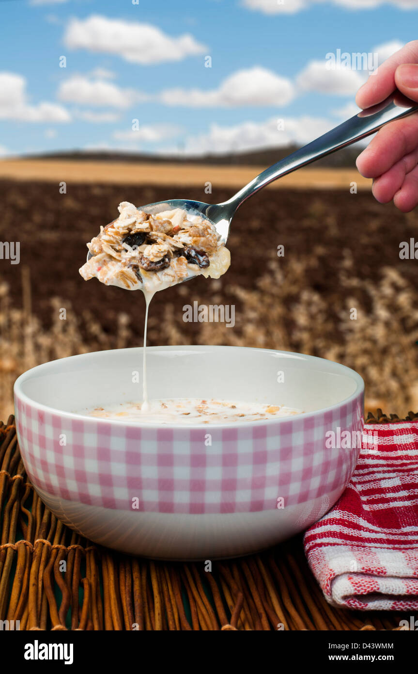 Muesli breakfast in a bow and spoon.Agricultural land on the background Stock Photo