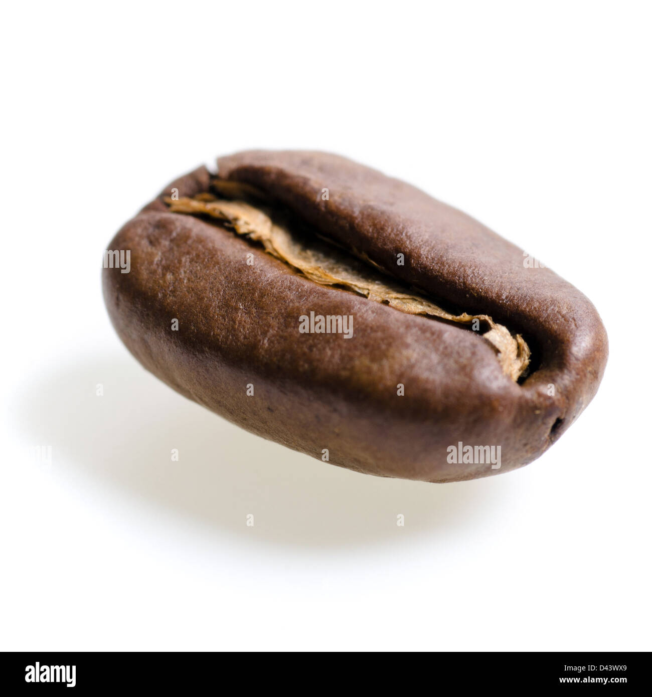 one espresso bean isolated before white background Stock Photo