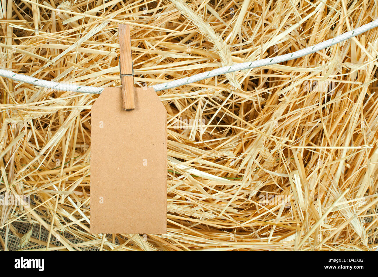 Note papers hooked on a rope. Straw background Stock Photo