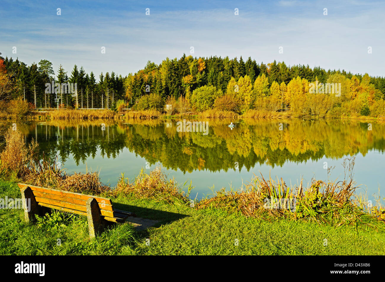SchwarzwaldBaar, Black Forest, BadenWurttemberg, Germany Stock Photo