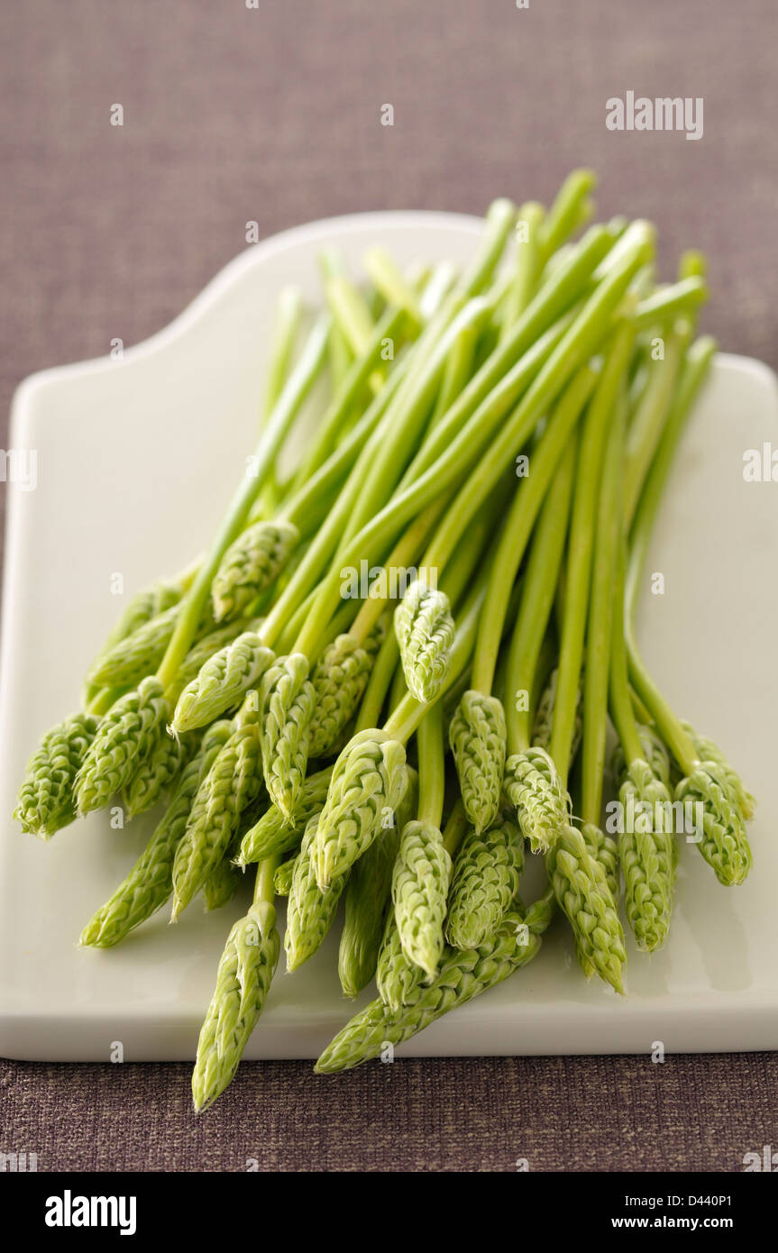 Close-up of Wild Asparagus on Cutting Board Stock Photo