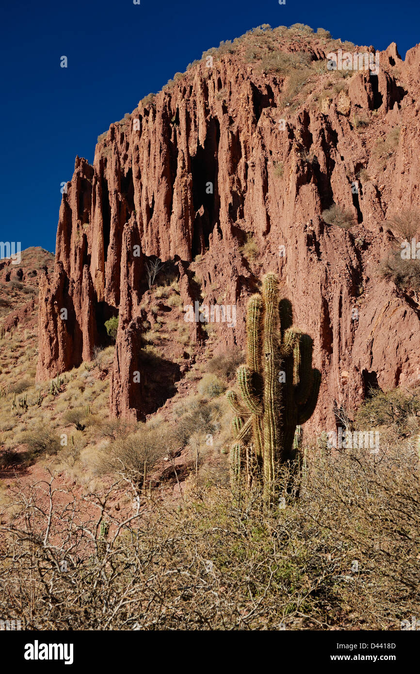cacti and erosion landscape near Tupiza, Red rock formations in the Canon Del Inca, Tupiza Chichas Range, Bolivia, South America Stock Photo