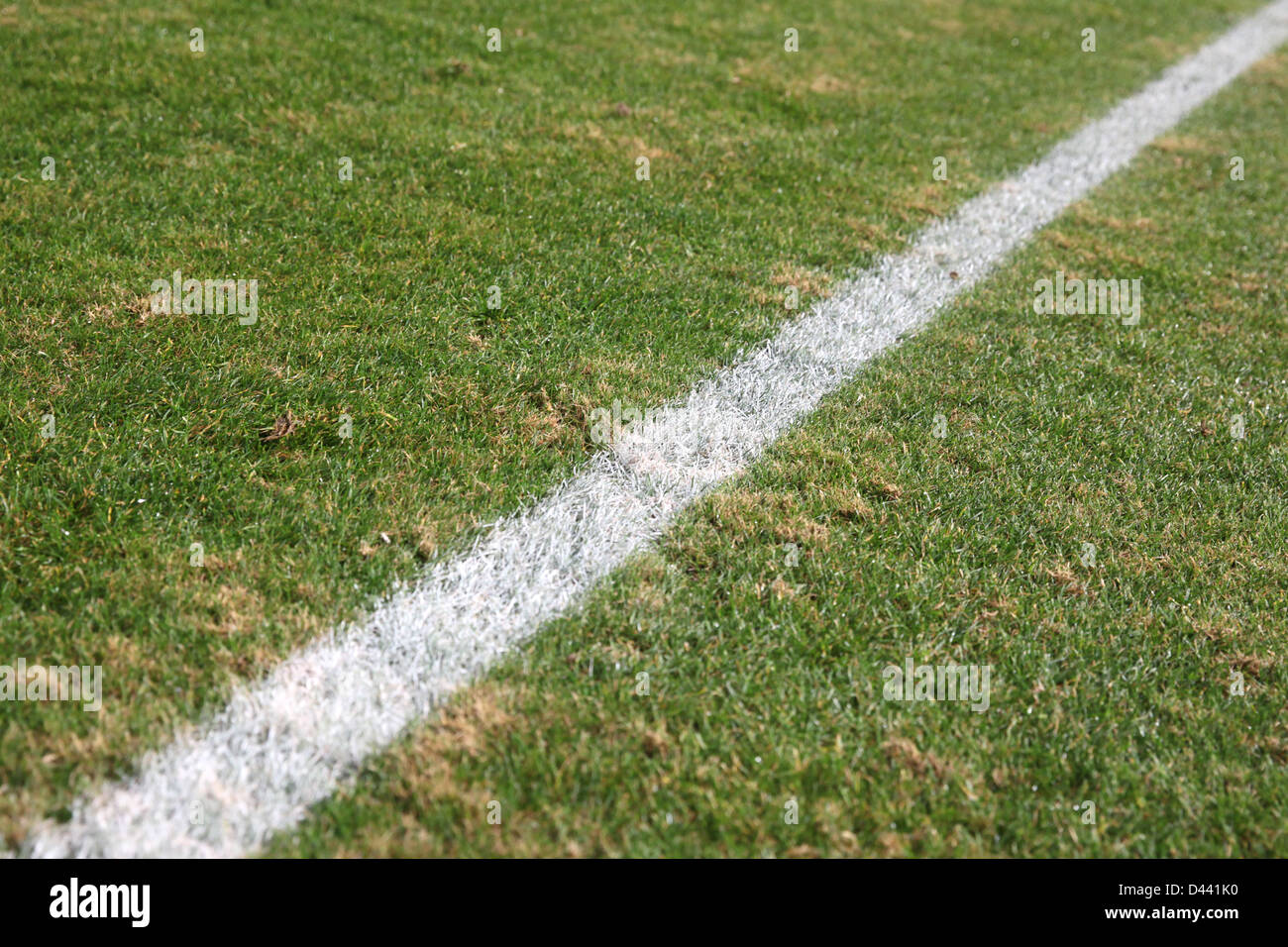 White line on a soccer field grass Stock Photo