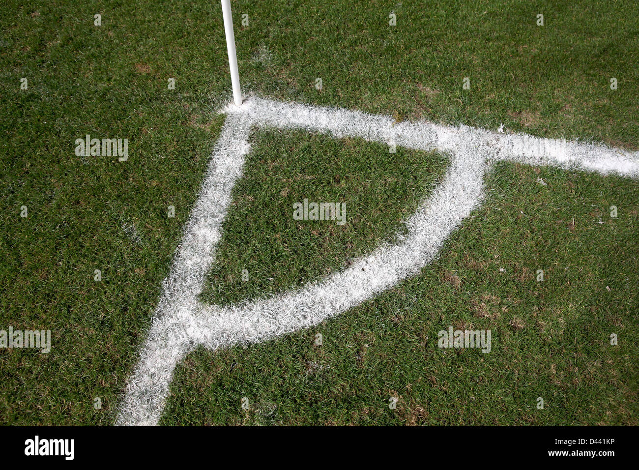 White line on a soccer field grass Stock Photo