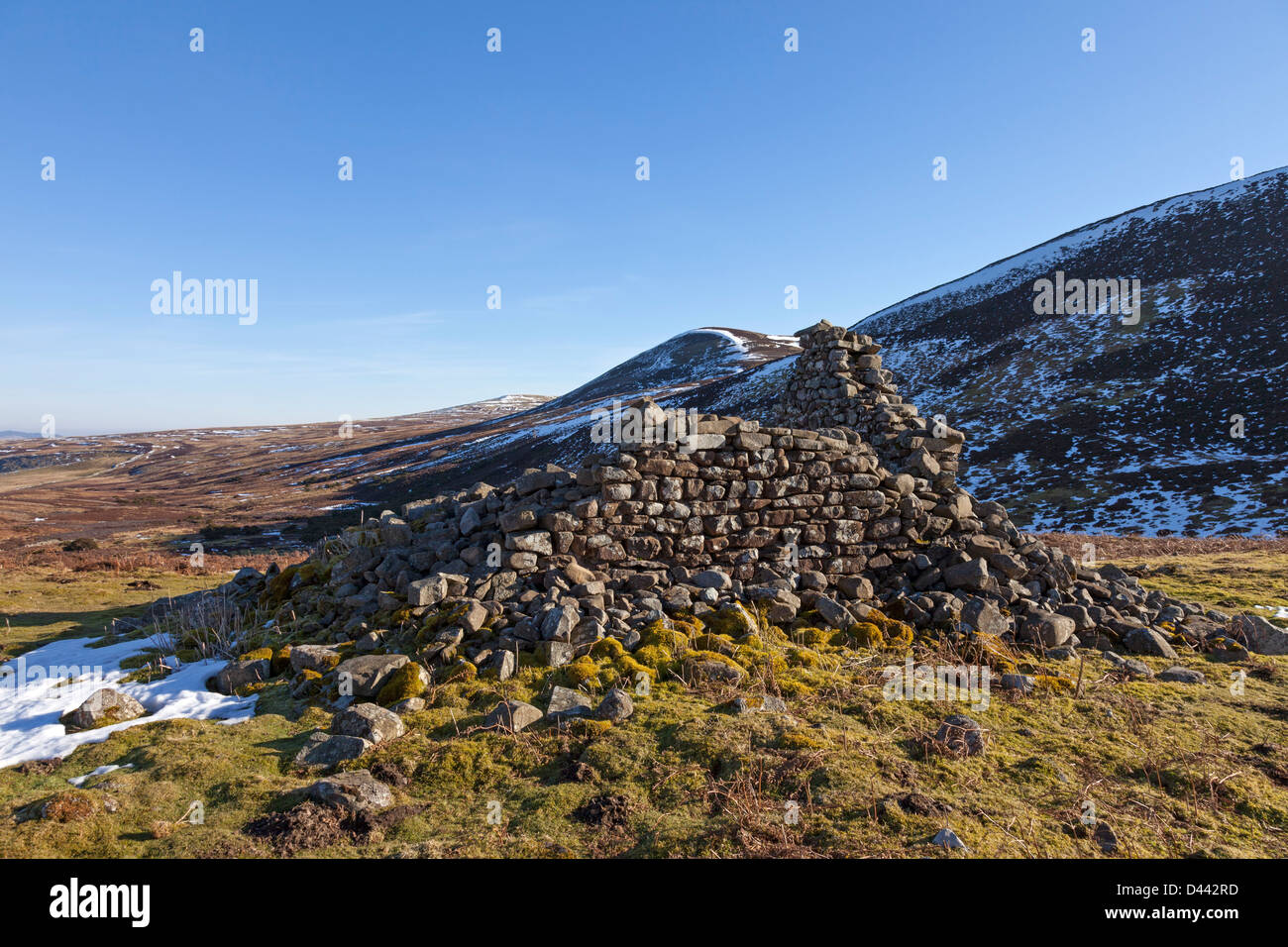 Ruined Mine Building at White Force Mine, Birk Rigg, Cronkley Fell Upper Teesdale County Durham UK Stock Photo