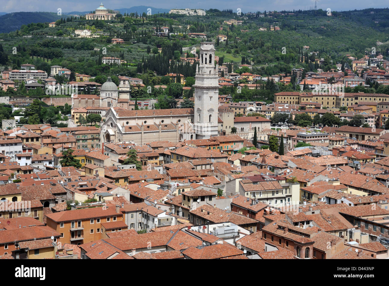 the Cathedral of Verona on Italy Stock Photo - Alamy