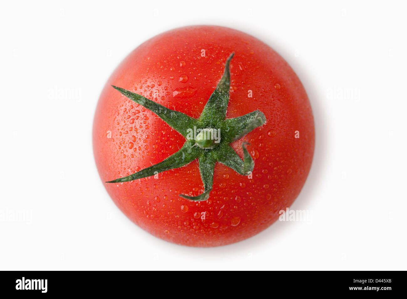Tomato with dew on a white background, cut out, overhead Stock Photo