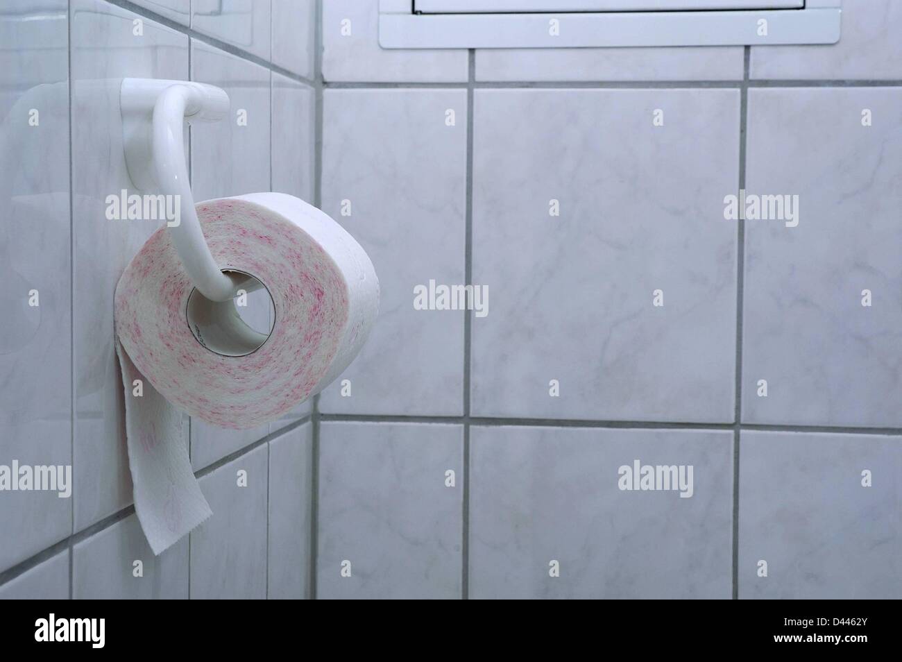 Illustration - A roll of toilet paper is pictured in a holder on a white-tiled wall in a bathroom in Berlin, Germany, 20 December 2007. Photo: Berliner Verlag/ S. Steinach Stock Photo