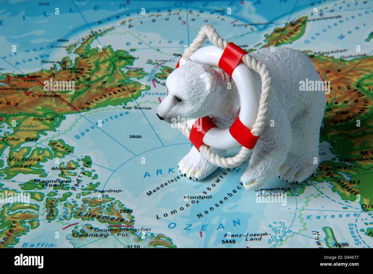 Illustration - A miniature polar bear is pictured with a miniature safety buoy around his neck sitting near the north pole on a map in Berlin, Germany, 22 December 2007. Photo: Berliner Verlag/S.Steinach Stock Photo