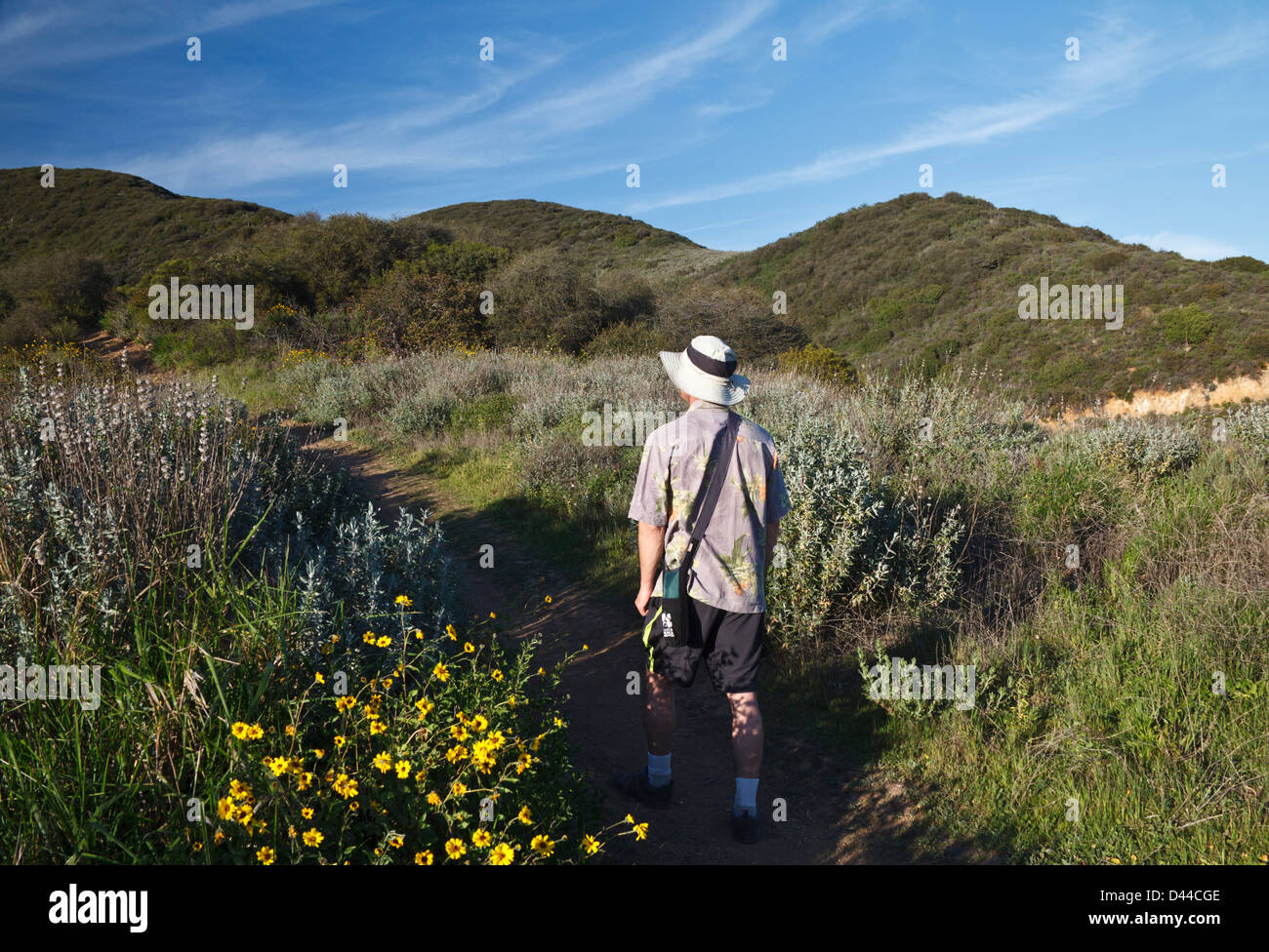 Hiker passes wildflowers on Canyon View Trail at Zuma Canyon  in the Santa Monica Mountains Stock Photo