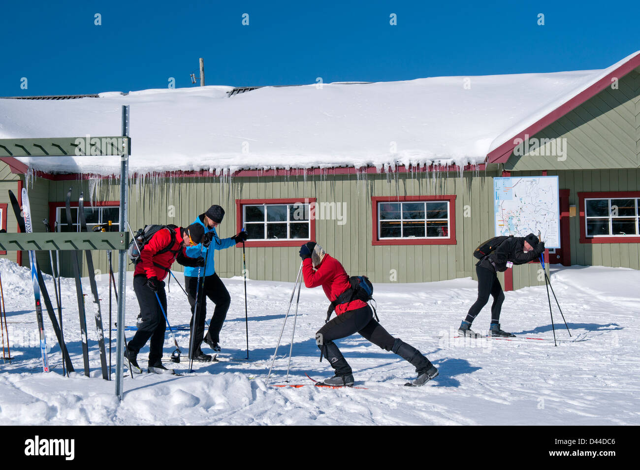 Cross country skiers at Camp Mercier skiing center, province of Quebec