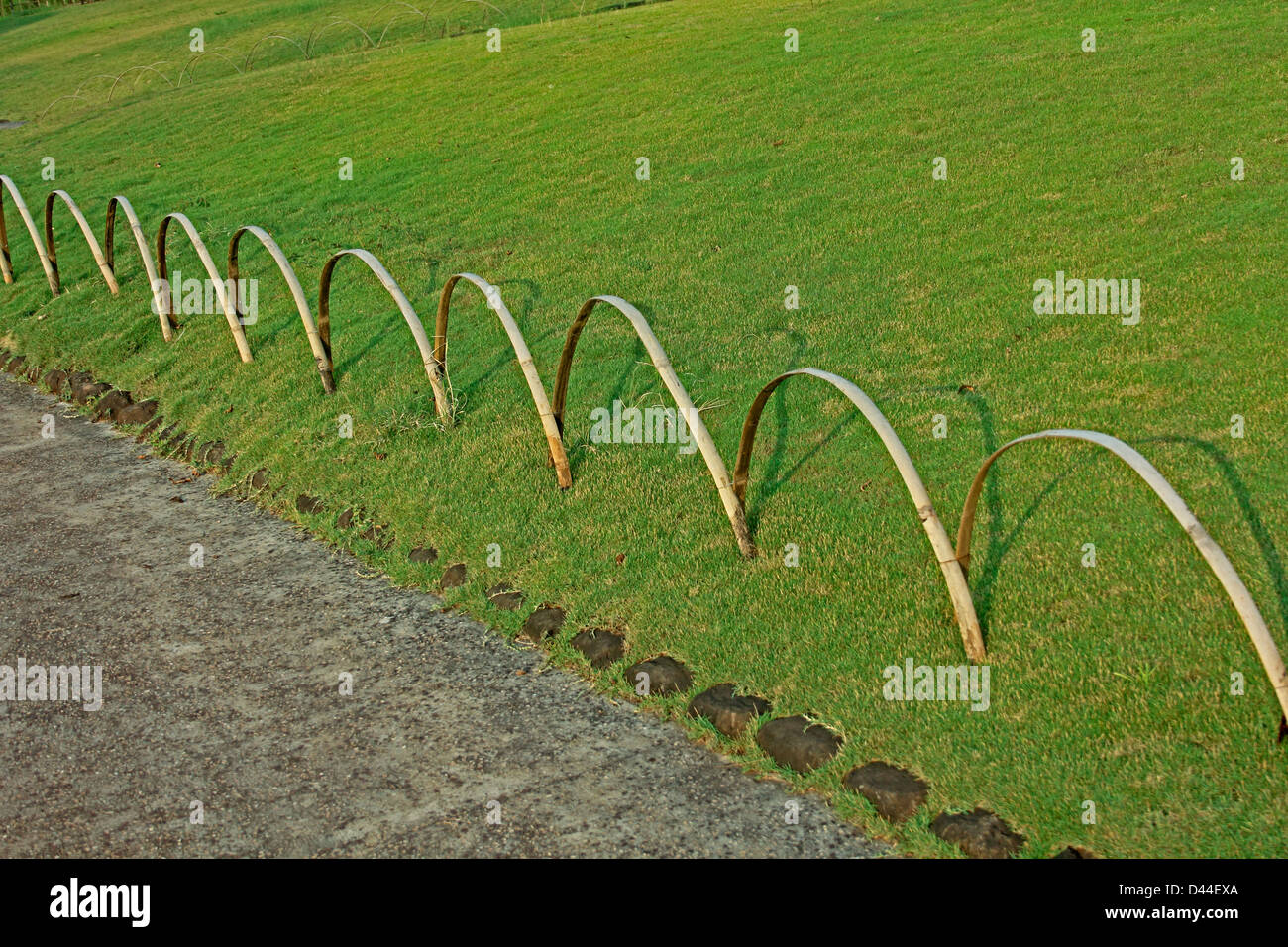 Japanese garden in pune city hi-res stock photography and images - Alamy