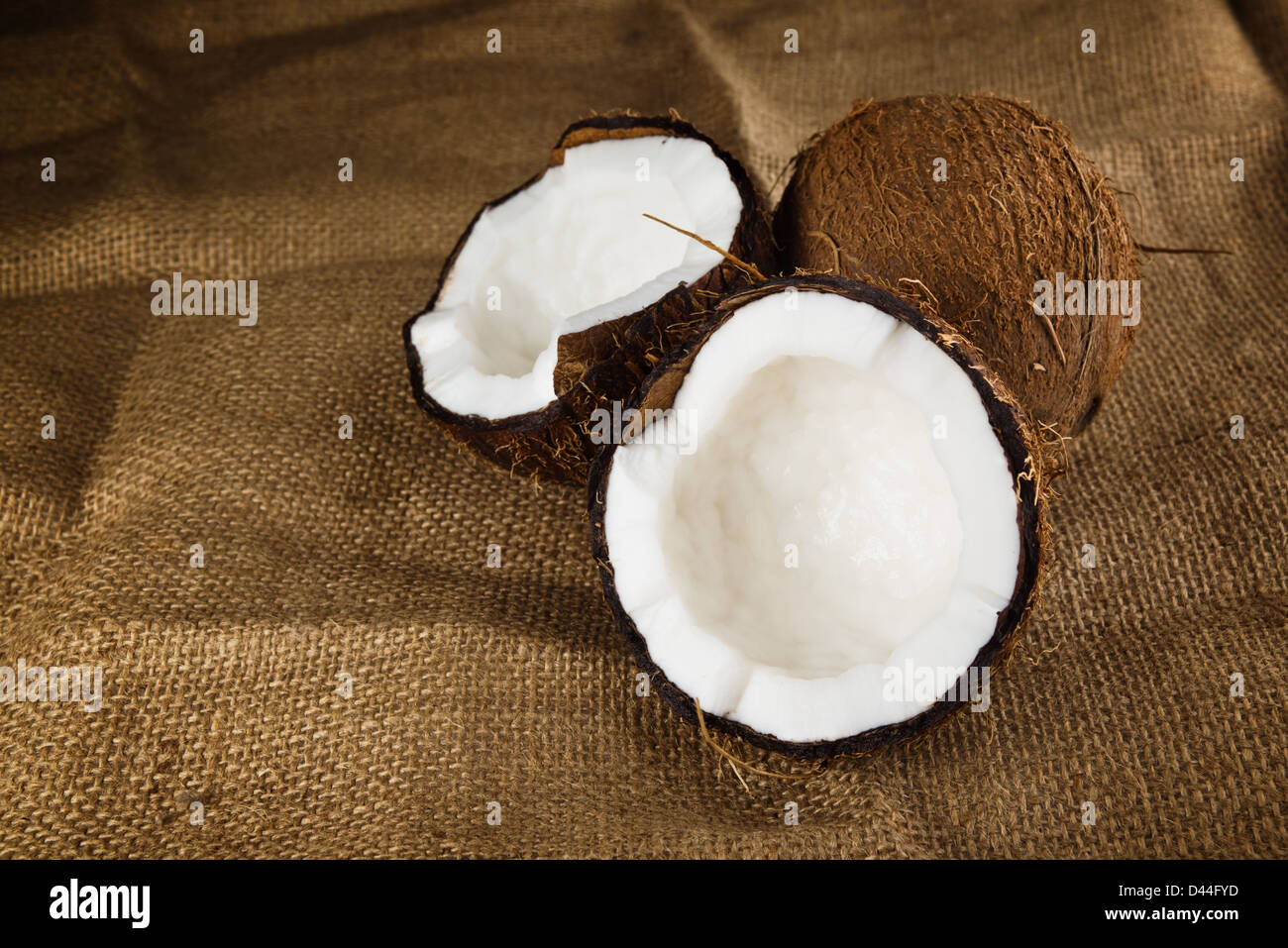 Two coconuts on a cloth background. Coconut is tasty tropic fruit. Stock Photo