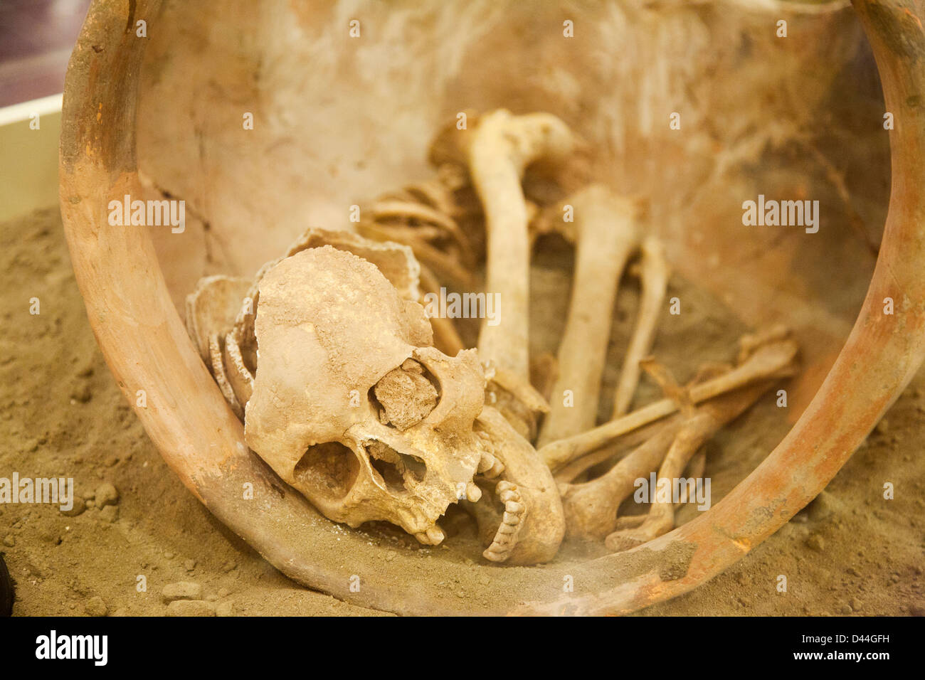 skeleton, burials of neolithic age, archaeological site of dogantepe, museum of amasya, amasya, anatolia, turkey, asia Stock Photo