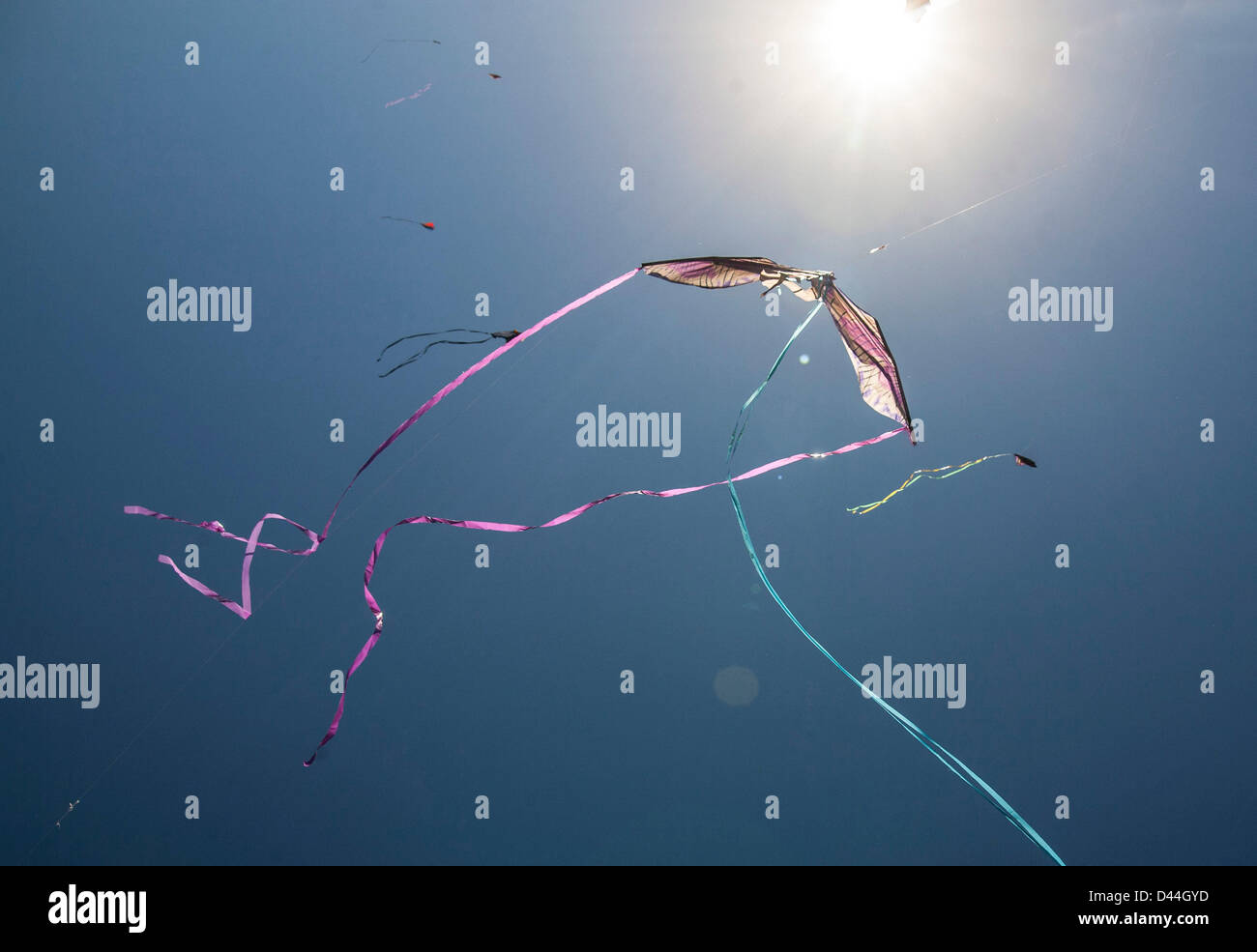 Mar 03, 2013 Austin, Texas, U.S. Residents and visitors fly their