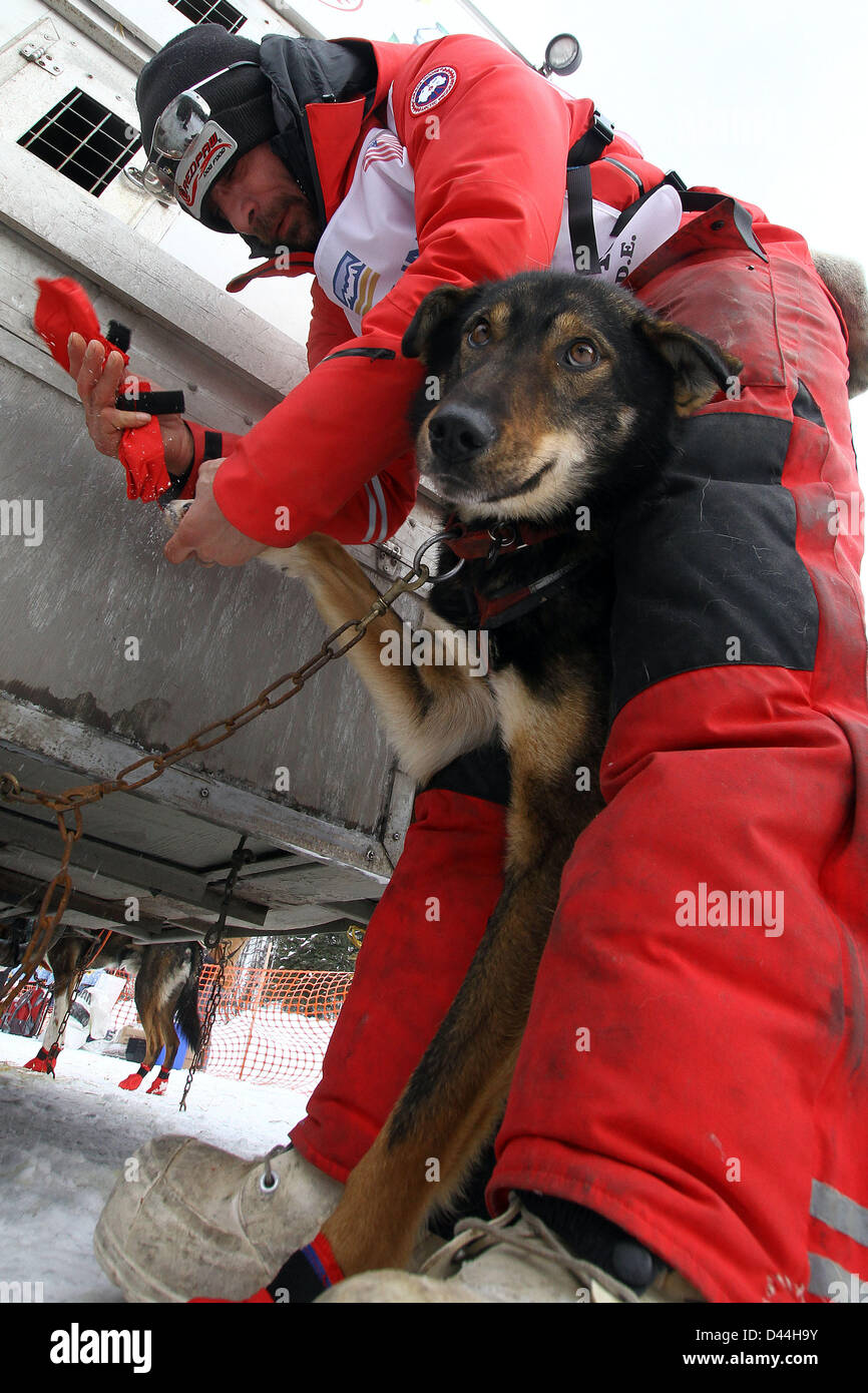Iditarod sled dog booties hires stock photography and images Alamy