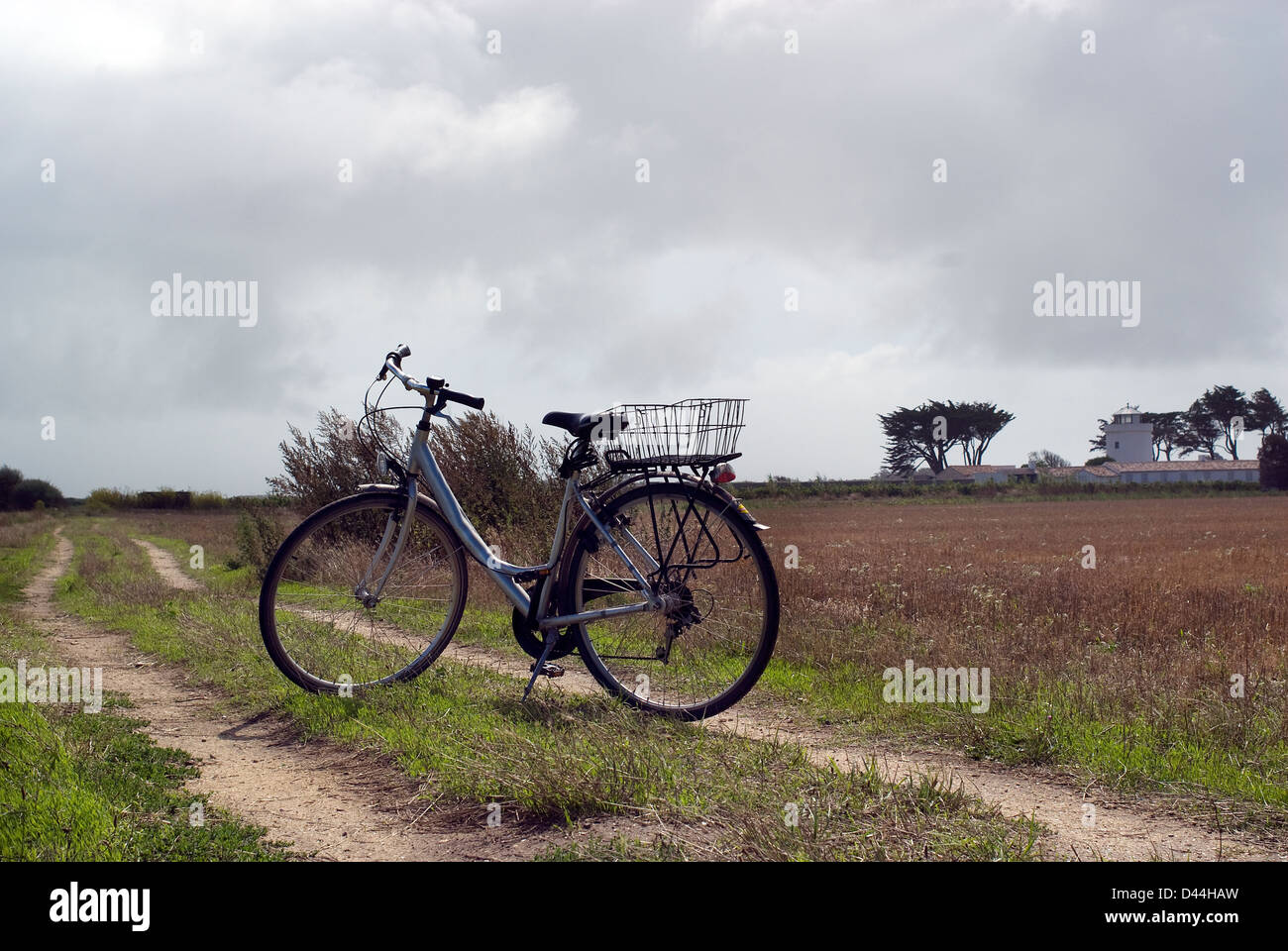 Rear wire basket hires stock photography and images Alamy
