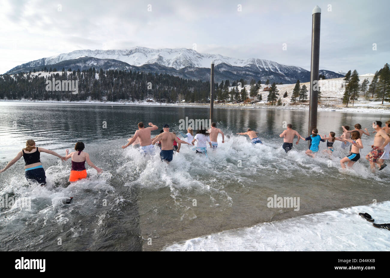 New years day polar bear plunge hi-res stock photography and images - Alamy