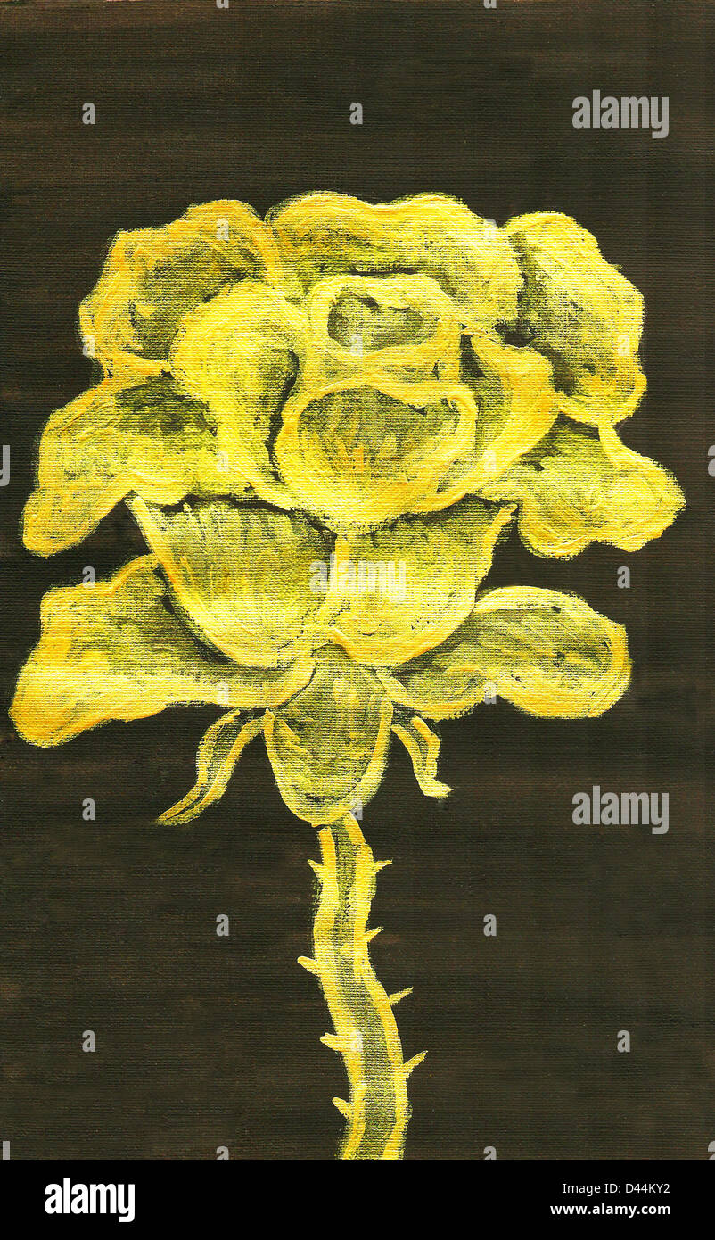 Golden rose on black background, hand painting, golden gouache Stock ...