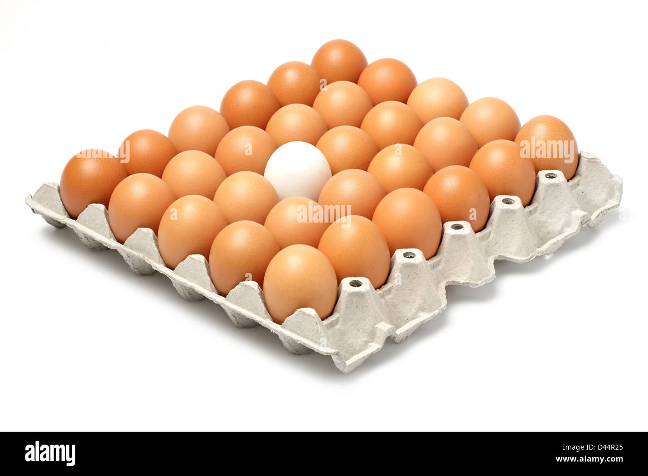 Duck and chicken eggs in paper tray isolated on white Stock Photo