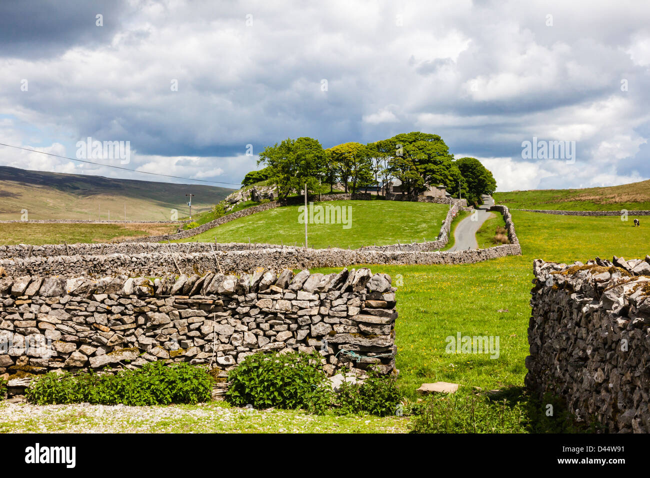 Attractive views of a copse in the Yorkshire Dales near Stainforth, on the road to Halton Gill, North Yorkshire, UK Stock Photo