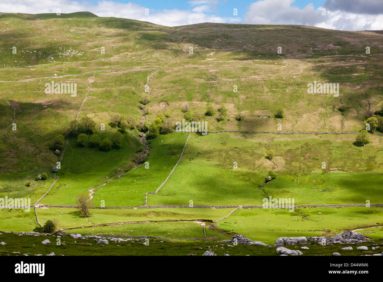 Halton Gill is a pretty attractive hamlet in the Yorkshire Dales, North Yorkshire, UK Stock Photo
