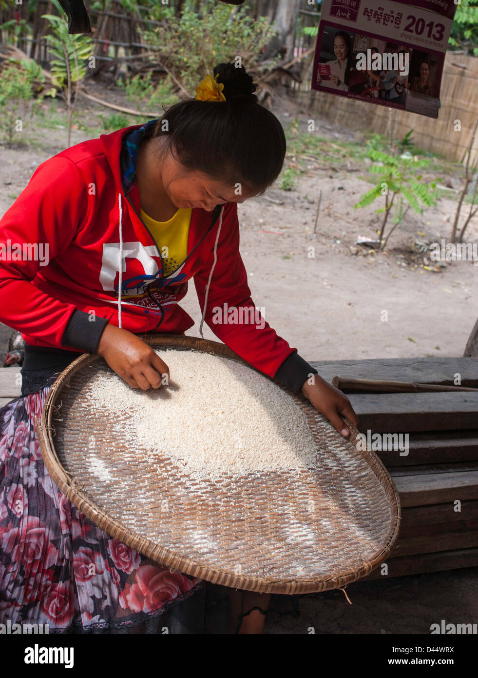 woman cleaning rice Stock Photo