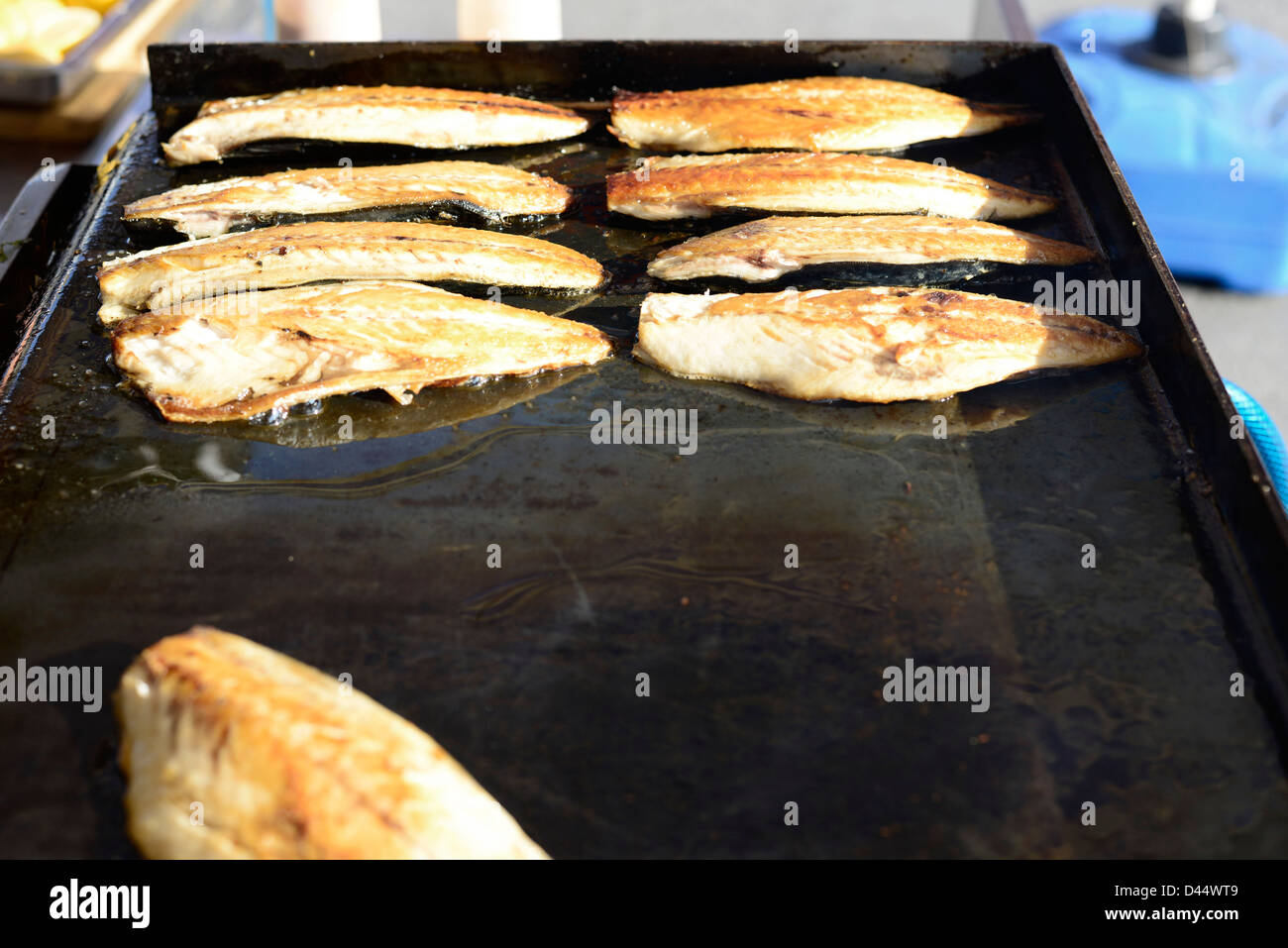 Mackerel fish fillet grilled Stock Photo Alamy