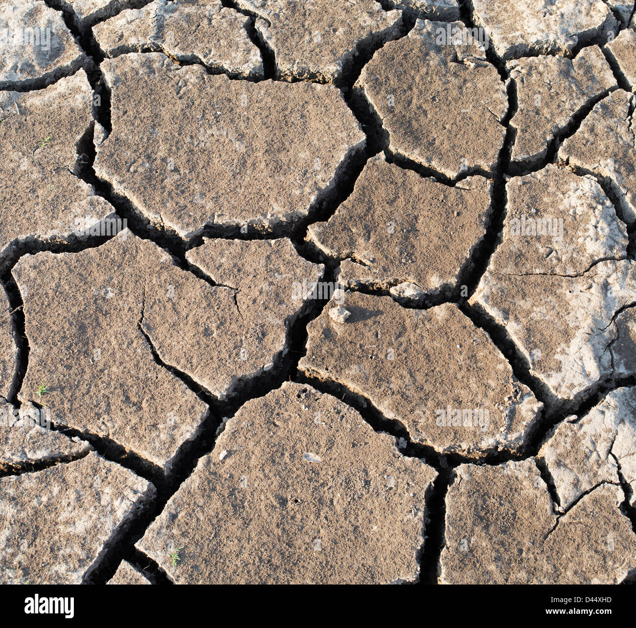 Dry cracking clay soil in an indian lake bed pattern. India Stock Photo