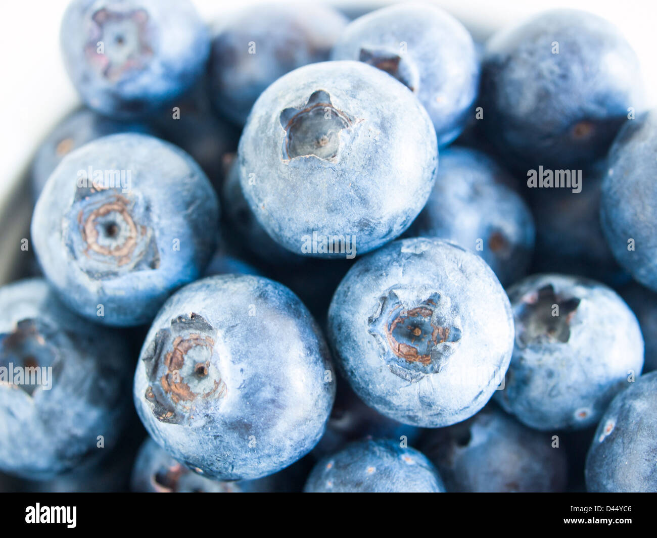 Fresh bluberries from local market on white background. Blueberries