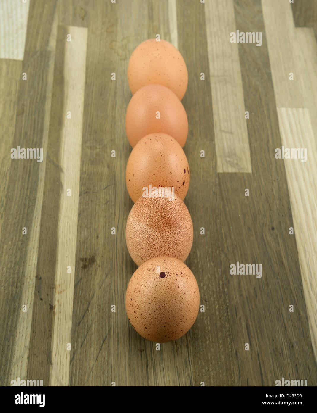Free range organic eggs in a row. Stock Photo