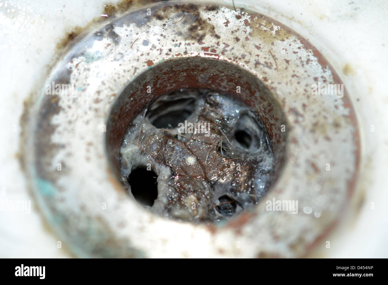 Close Up Of Clogged Bathroom Sink Drain Full Of Hair And