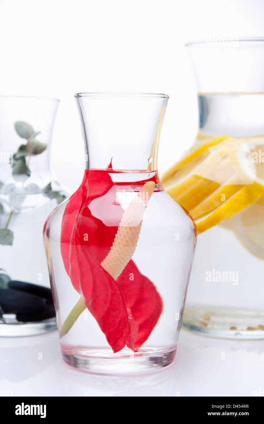 a flower in vase with water Stock Photo Alamy