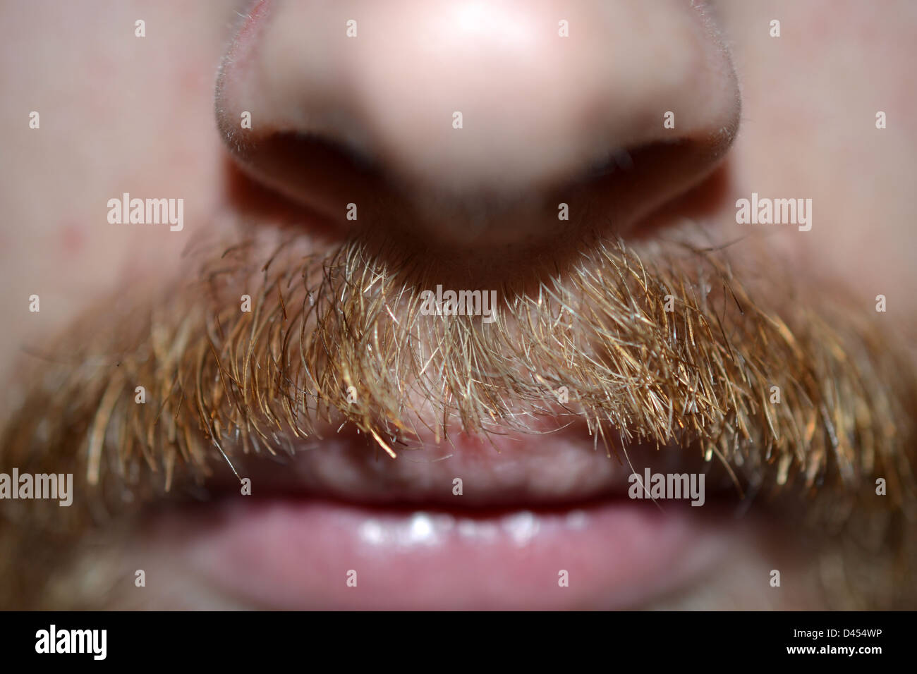 closeup of a man's moustache Stock Photo