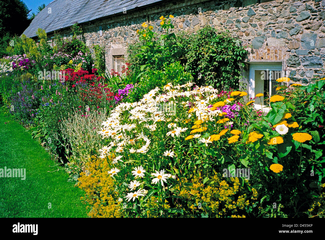 Herbaceous border in full summer bloom in front of a traditional stone built farm building, Ardgillan park, north county Dublin, Stock Photo