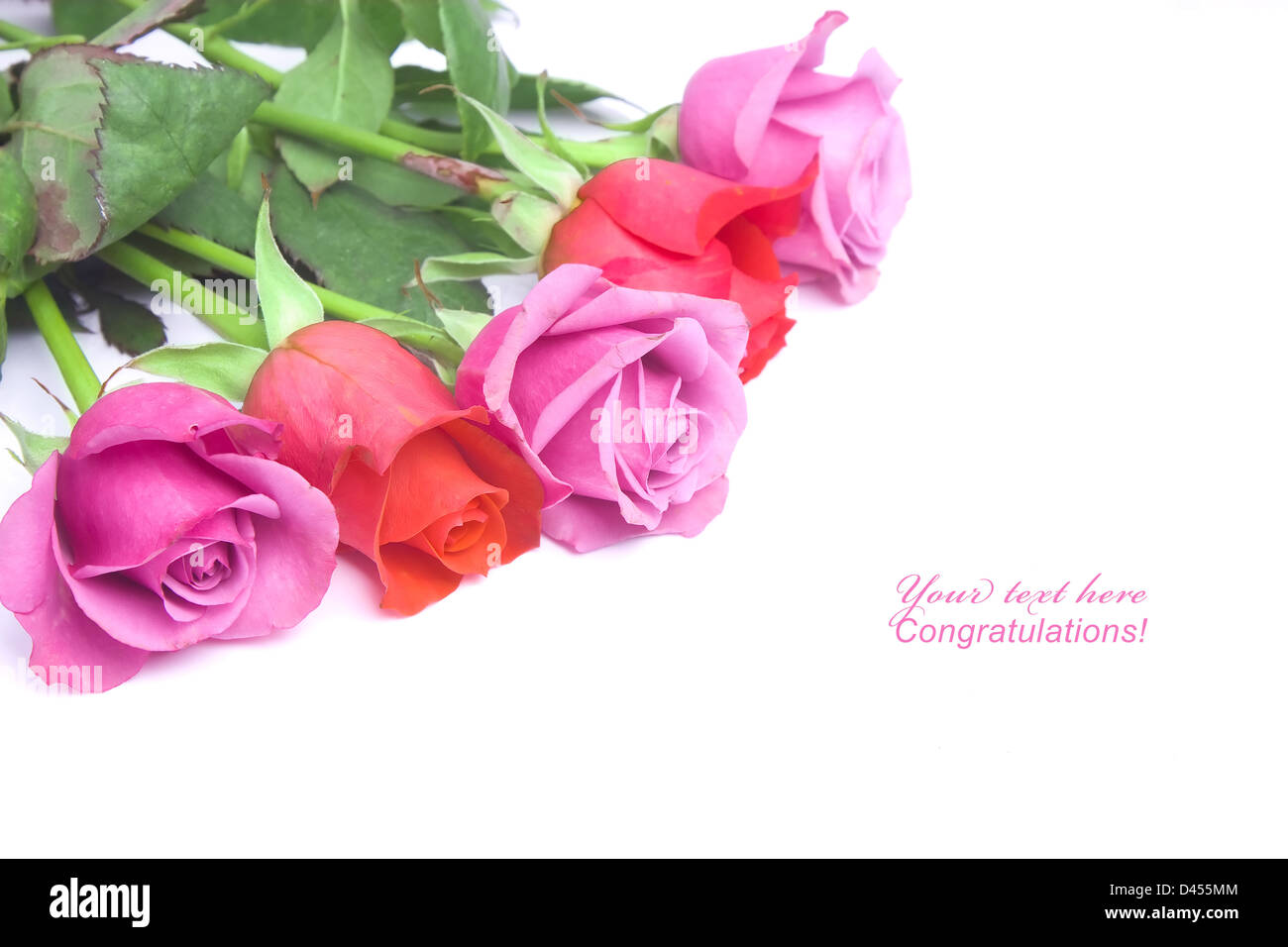 Two Colour Roses Background Bunch of two-color roses for a postcard background Stock Photo - Alamy