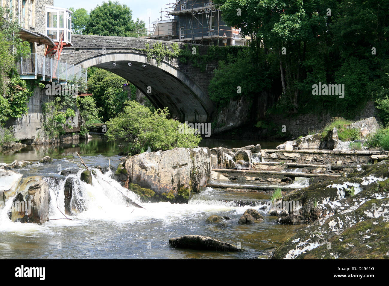 Salmon Ladder Stock Photos & Salmon Ladder Stock Images Alamy