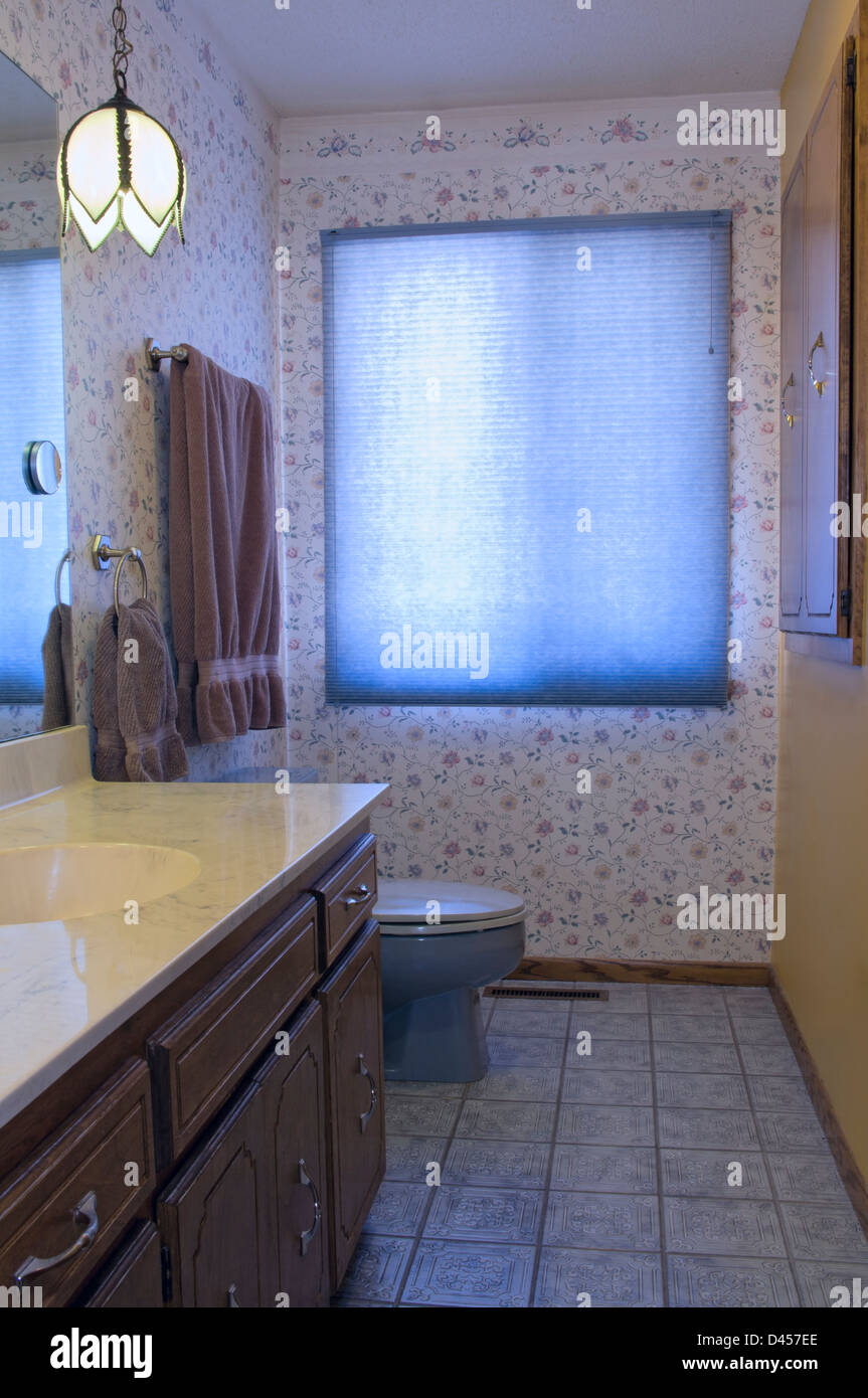 Bathroom vanity and toilet from interior of home with window and hanging light fixture Stock Photo