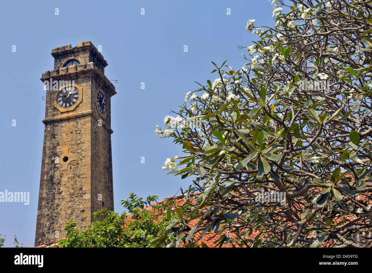 THE OLD CLOCK TOWER WITHIN  FORT GALLE SURROUNDED BY FRANGIPANI FLOWERS Stock Photo