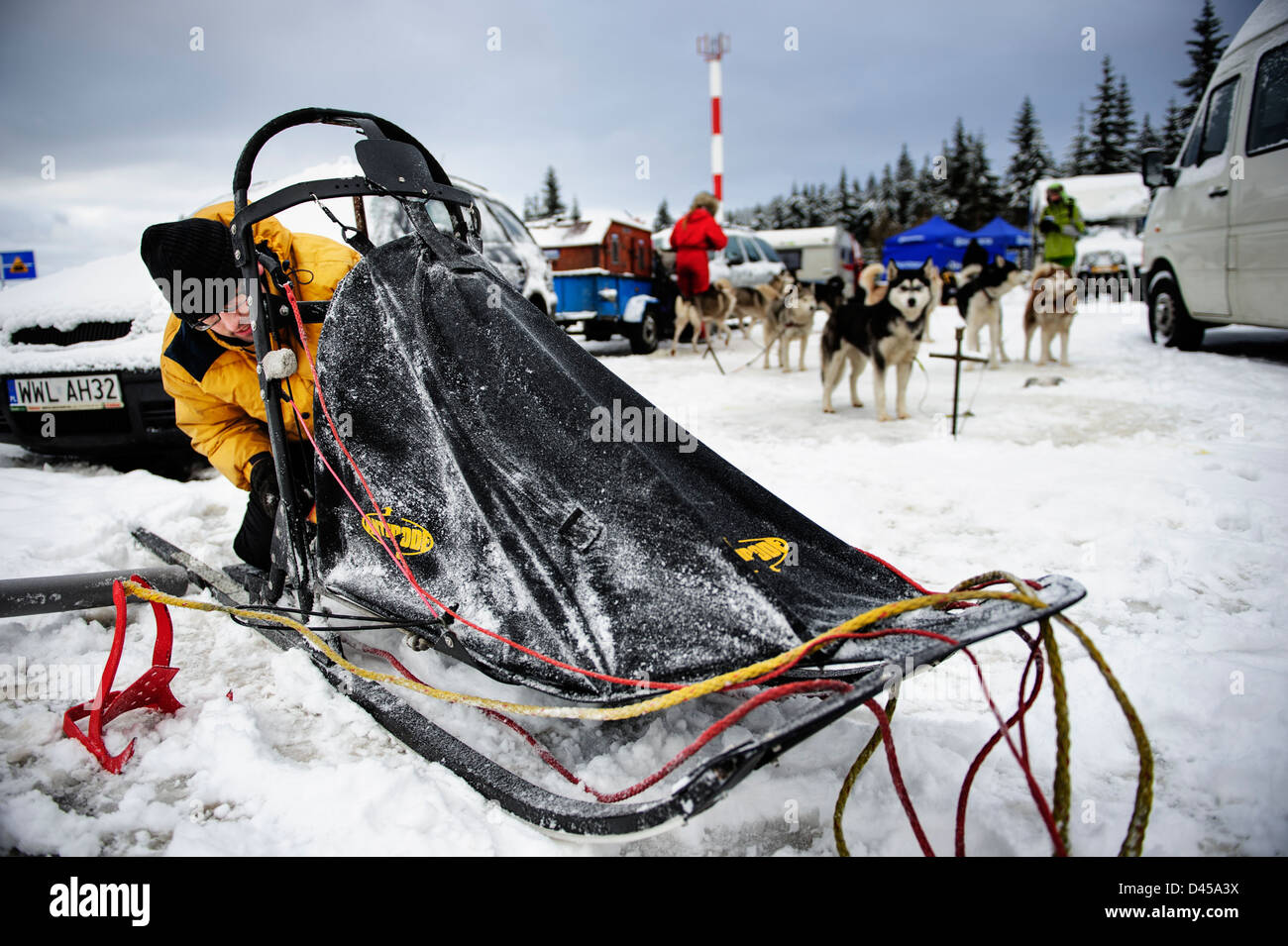 A musher preparing his sled before the competition, Jakuszyce, Poland. Stock Photo